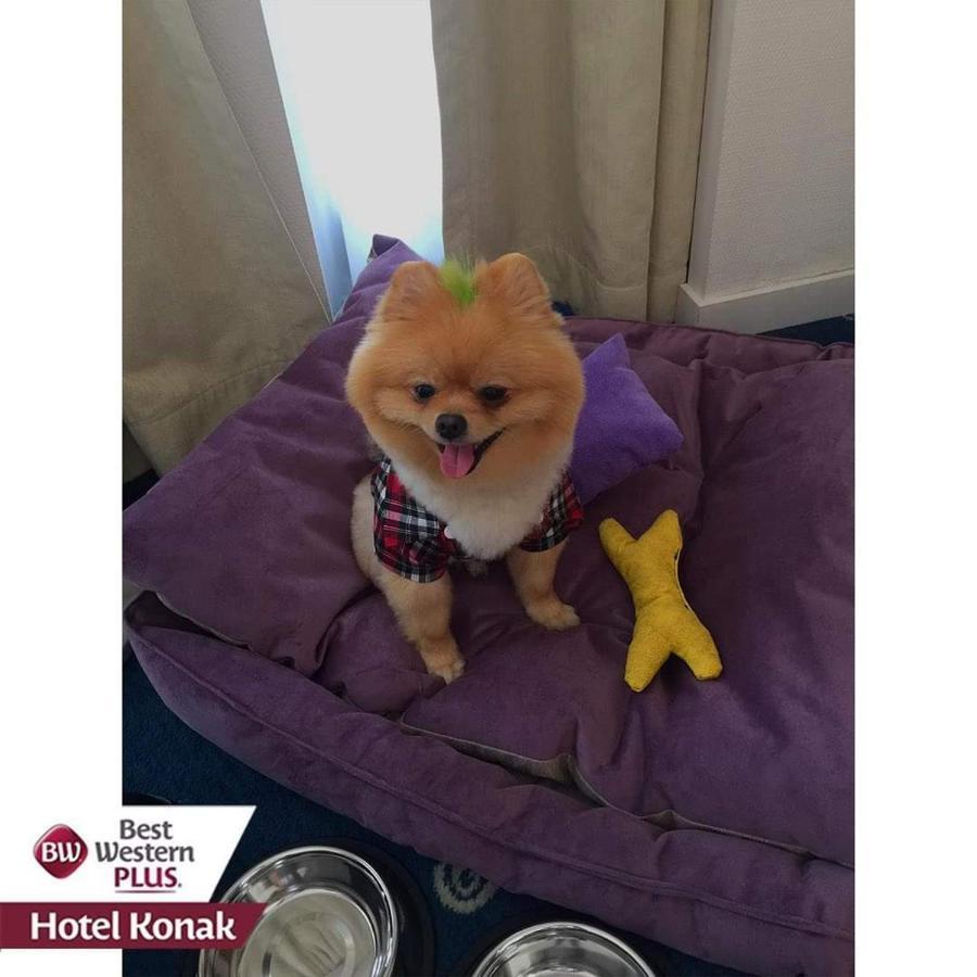 Best Western Plus Hotel Konak Izmir Eksteriør billede